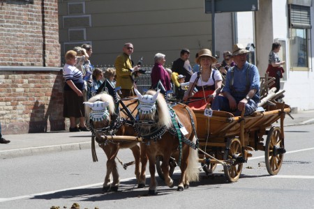 Festumzug Schwabmünchen