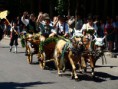 /album/fotogalerie-schalterwagen/a1-jpg/